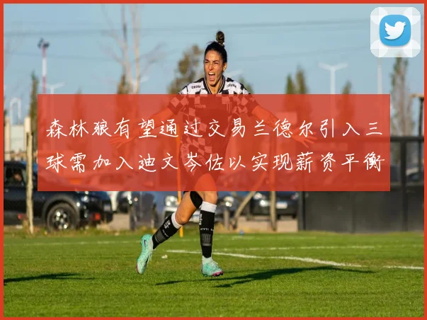 森林狼有望通过交易兰德尔引入三球需加入迪文岑佐以实现薪资平衡