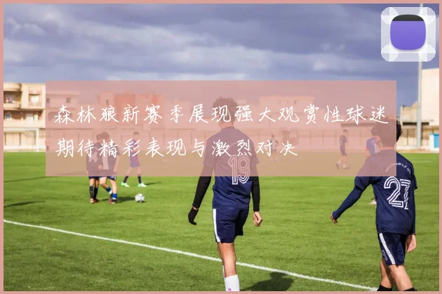 森林狼新赛季展现强大观赏性球迷期待精彩表现与激烈对决